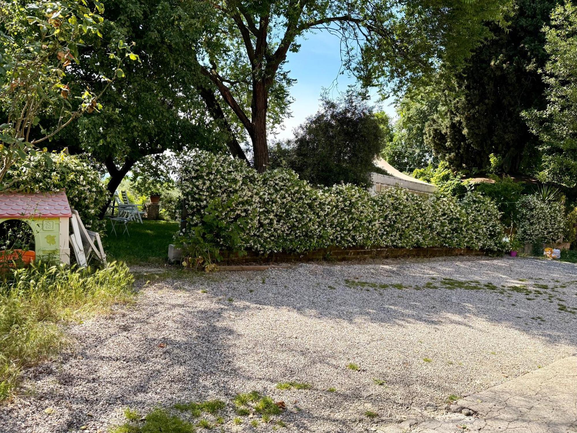 Green Leaves - Verona — Photos 2