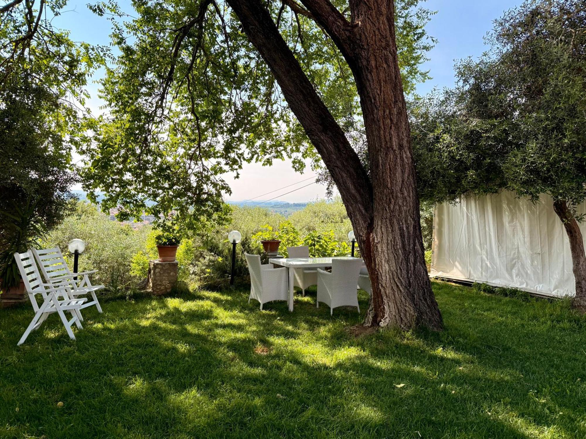 Green Leaves - Verona — Photos 1